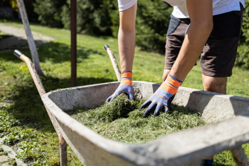 mauvaises herbes les plus envahissantes