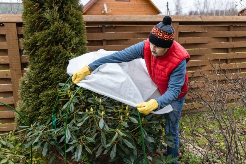 voile d'hivernage pour les plantes frag